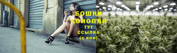 PSILOCYBIN Белоозёрский