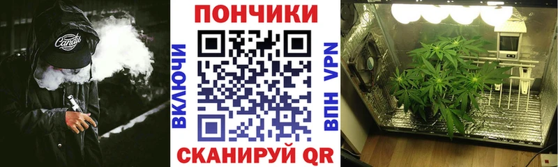 где купить наркоту  Боровск  Канабис Bruce Banner 